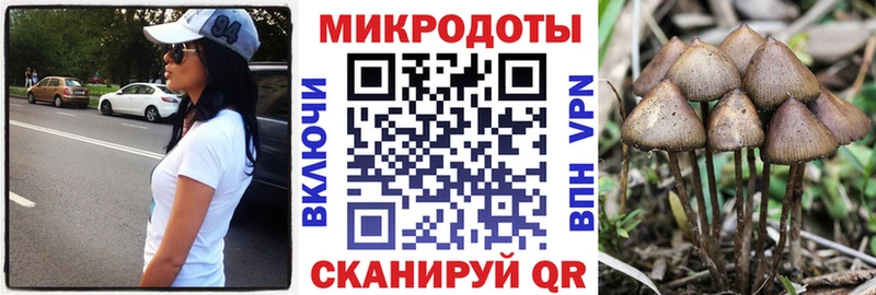 Купить  Краснознаменск  Псилоцибиновые грибы прущие грибы 